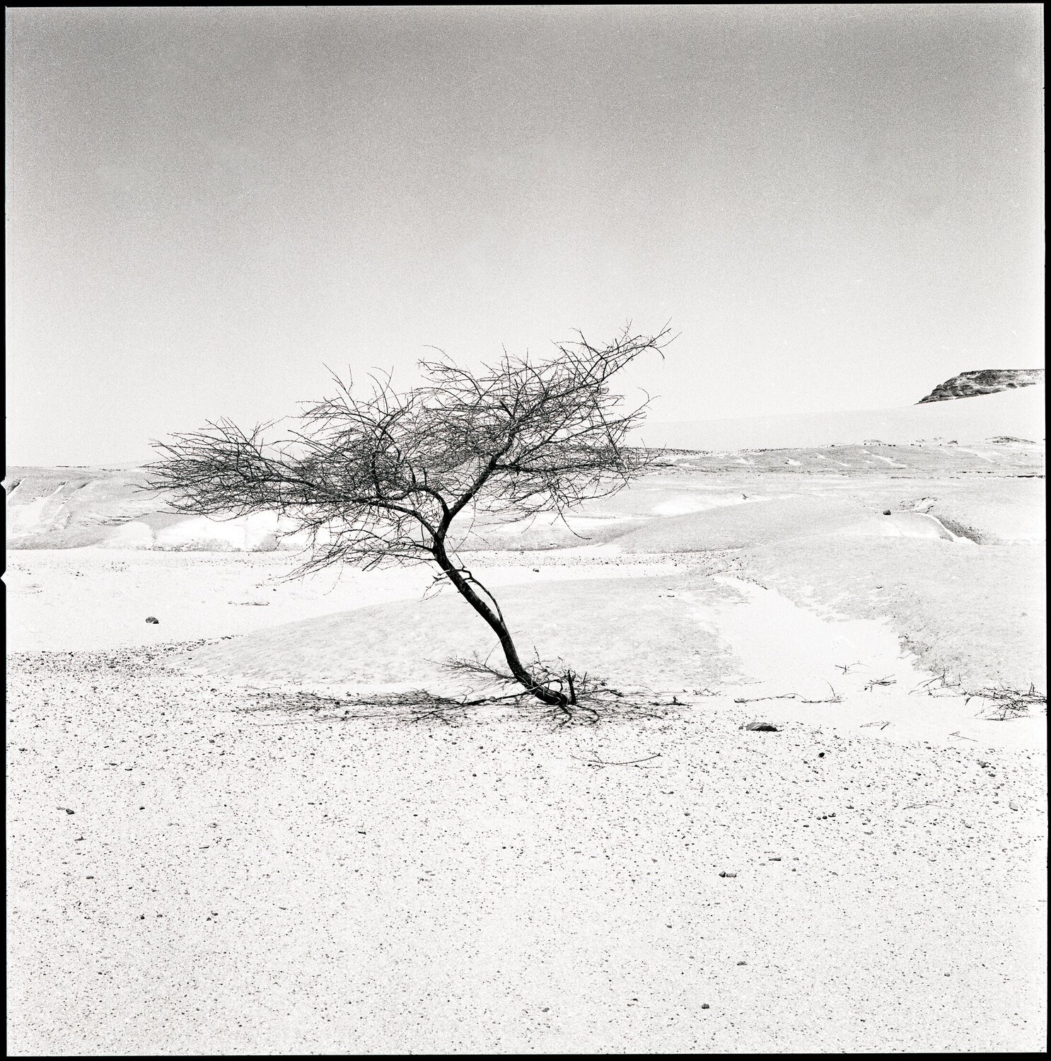 42 - Hoggar Anne Garde