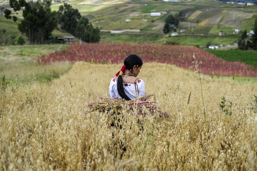 La reina de la Quinoa par Raul Martin, Photographie en vente sur Singulart