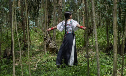 El último susurro del viento di Raul Martin, Fotografia in vendita su Singulart