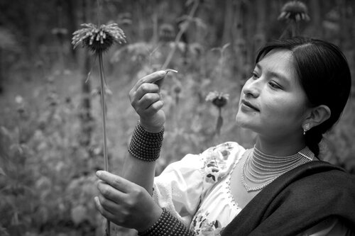 El fruto de la sabiduría von Raul Martin, Fotografie kaufen auf Singulart