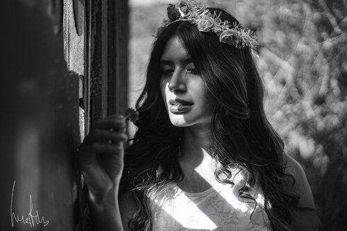 Mensaje del pasado, flor del presente di Raul Martin, Fotografia in vendita su Singulart