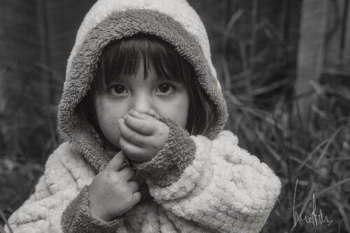 Perdón por todo, Palestina libre von Raul Martin, Fotografie kaufen auf Singulart