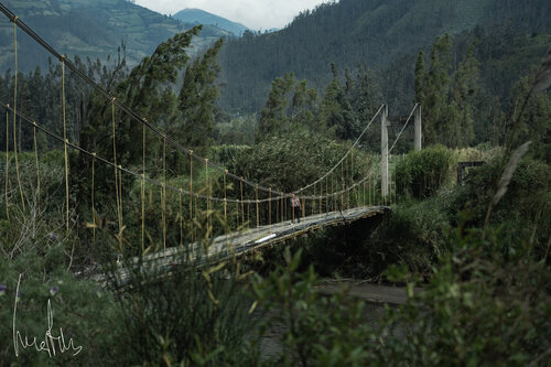Fotografía Fine Art de Paisaje Verde y puente colgante van Raul Martin, Fotografie te koop op Singulart