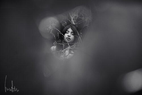 La belleza que se entrega al bosque van Raul Martin, Fotografie te koop op Singulart
