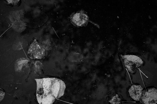 La asfixia del oro negro par Raul Martin, Photographie en vente sur Singulart