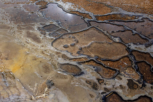 Relatos del agua entre la sal von Raul Martin, Fotografie kaufen auf Singulart