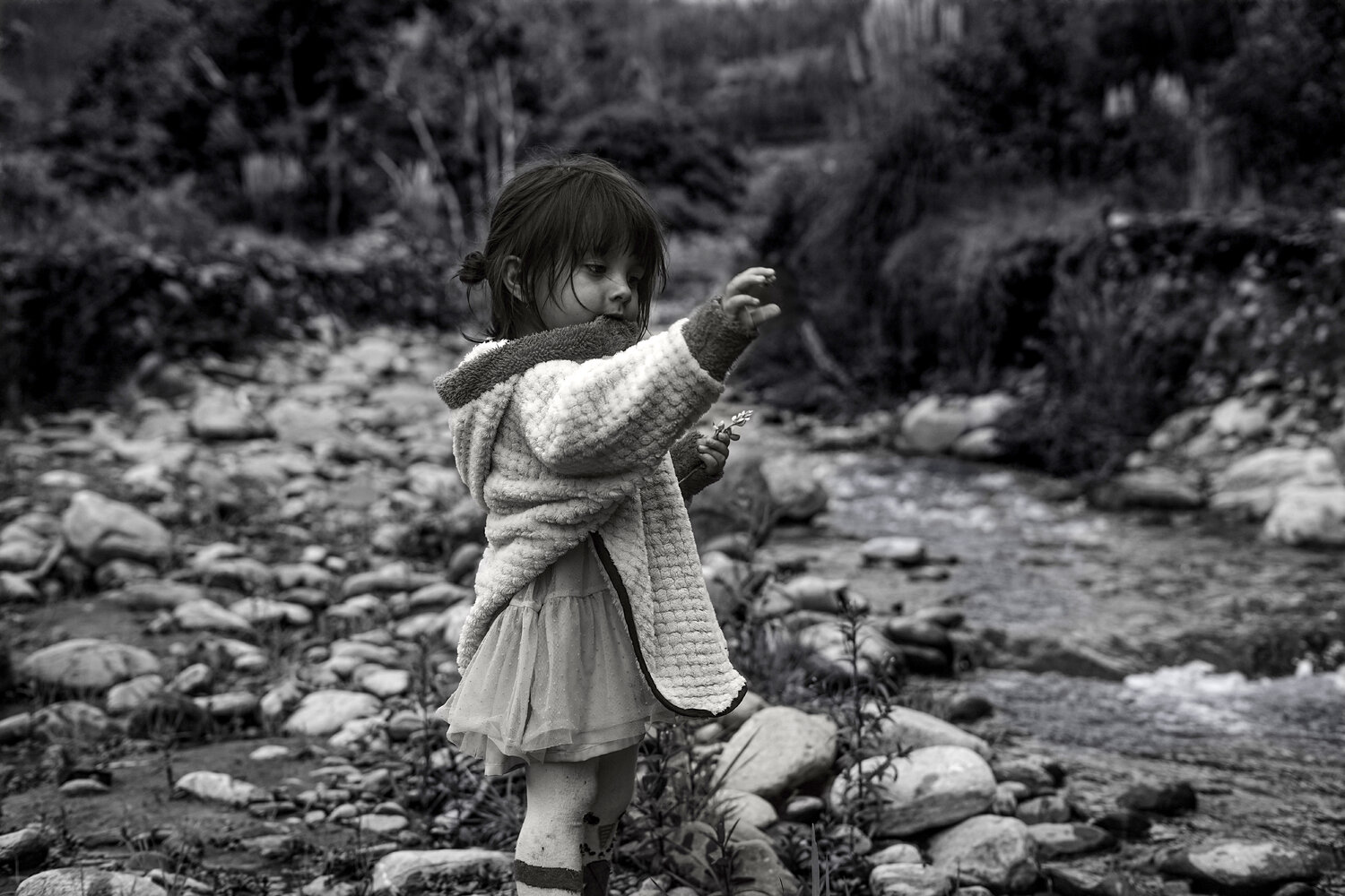 La niña que sabía leer la corriente Raul Martin Fotografie zu verkaufen