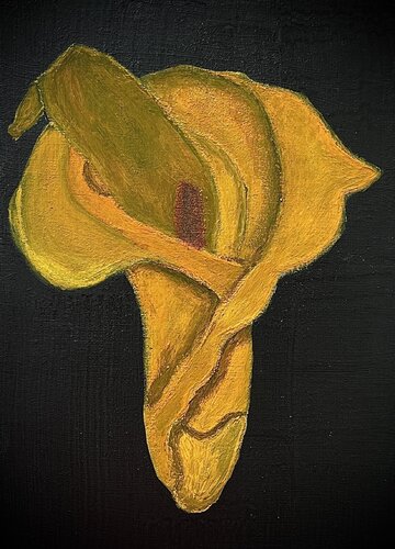 Le lys Calla von Sophonie Pierre, Malerei kaufen auf Singulart