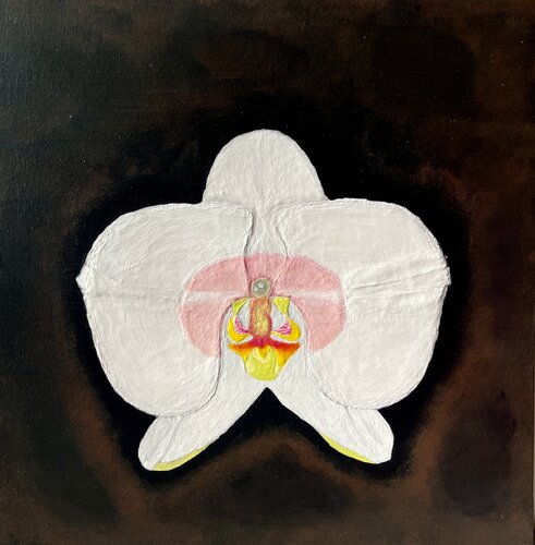 Orchidée van Sophonie Pierre, Schilderij te koop op Singulart