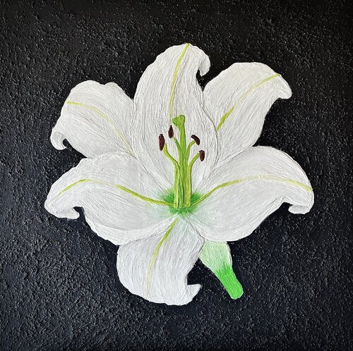 le lys by Sophonie Pierre, Painting for Sale on Singulart