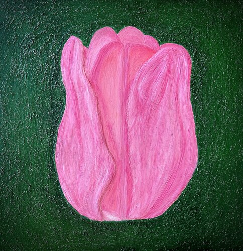 Tulipe par Sophonie Pierre, Peinture en vente sur Singulart