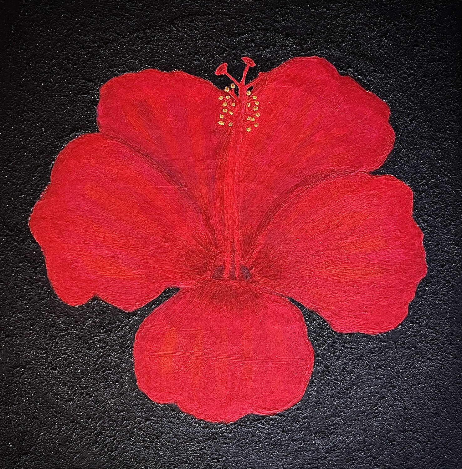 Rose de Chine Sophonie Pierre