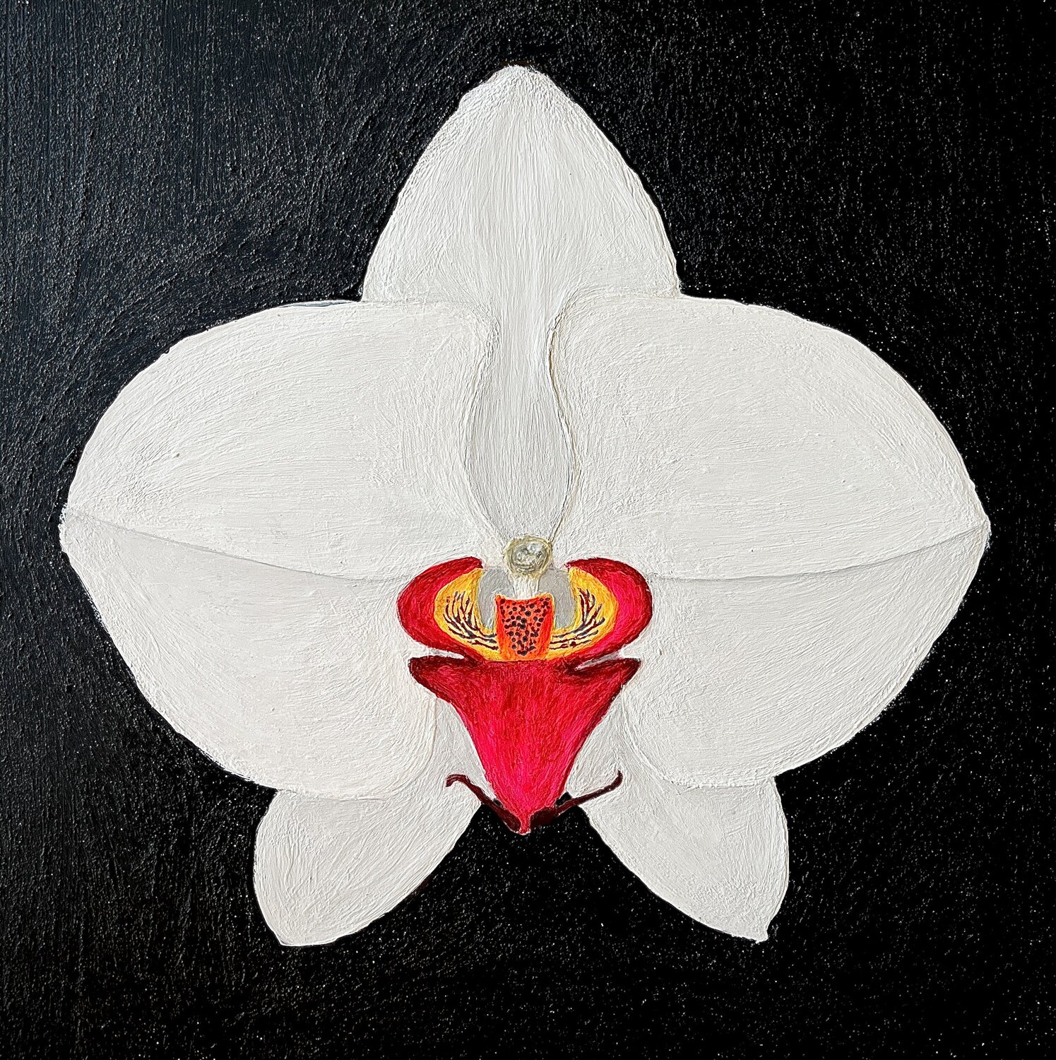 Orchidée Sophonie Pierre