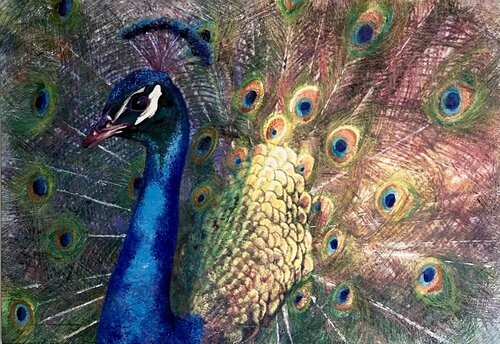 Radiance Unbound van Susanna Canciani, Schilderij te koop op Singulart
