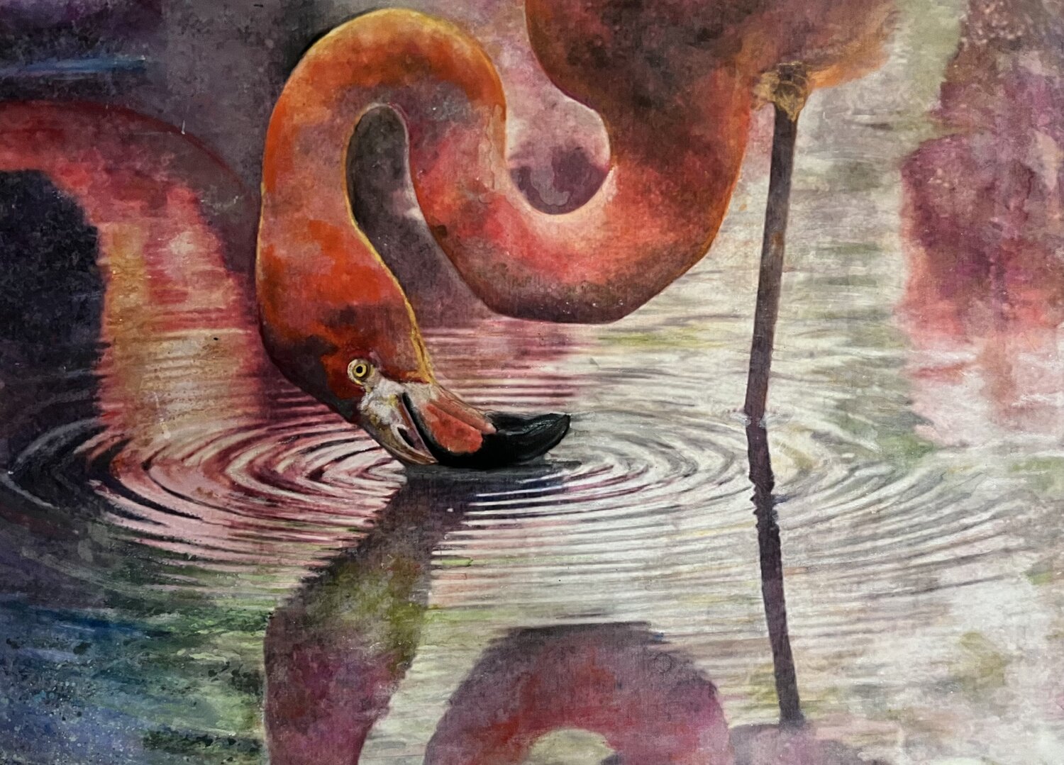 Ripple of Reflection Susanna Canciani