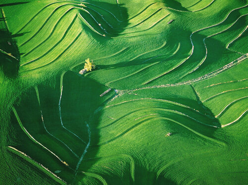 Undulating Hills - near Wahoo, Nebraska par John Griebsch, Photographie en vente sur Singulart