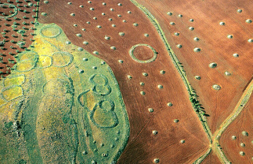Olive Orchard and Stone Circles - La Mancha, Spain by John Griebsch, Photography for Sale on Singulart
