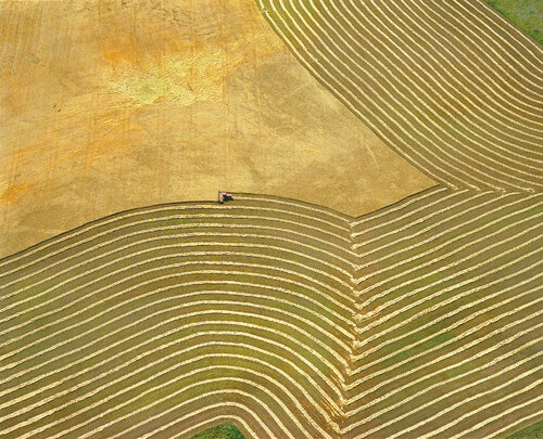 Wheatfield and Tractor II - near Yankton, South Dakota von John Griebsch, Fotografie kaufen auf Singulart