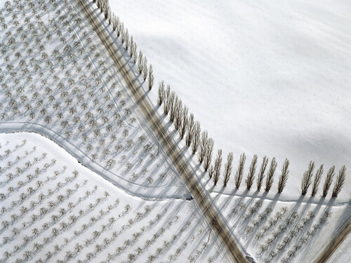 Poplar Corner - near Sodus, New York by John Griebsch, Photography for Sale on Singulart