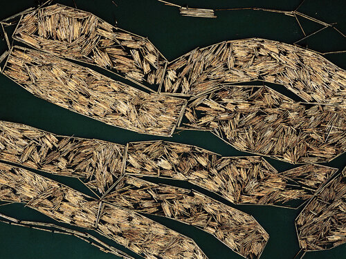 Log Rafts - Port of Tacoma, Washington par John Griebsch, Photographie en vente sur Singulart