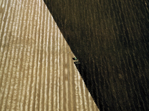 Plowed Fields - near Hannibal,  Missouri by John Griebsch, Photography for Sale on Singulart