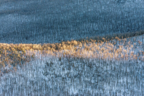 Sunlit Ridge - Cascade Mountain, near Lake Placid, NY by John Griebsch, Photography for Sale on Singulart