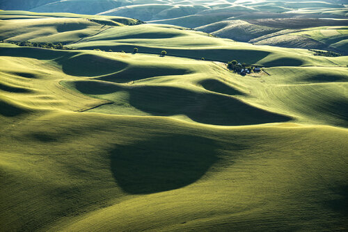 The Palouse #8971 par John Griebsch, Photographie en vente sur Singulart