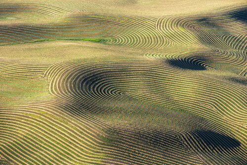The Palouse #2172 by John Griebsch, Photography for Sale on Singulart