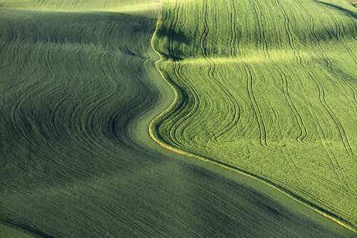 The Palouse #2119 di John Griebsch, Fotografia in vendita su Singulart