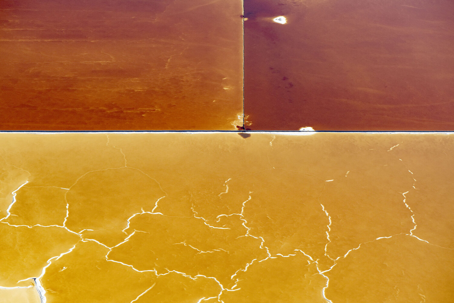 Salt Lagoons  #9065 - San Francisco Bay John Griebsch