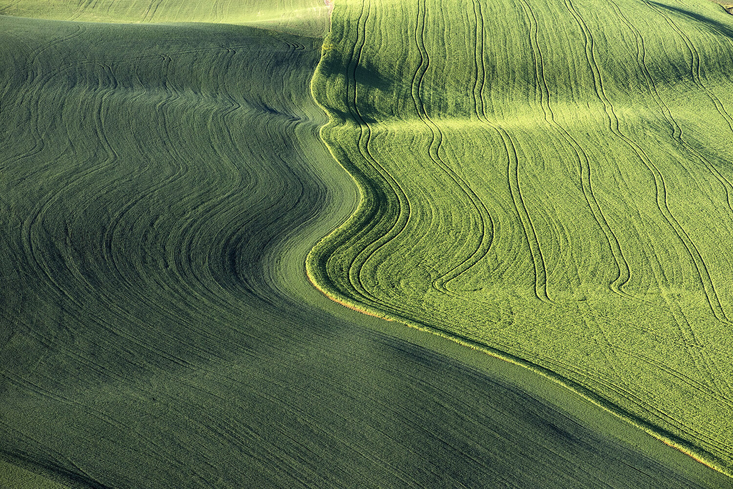The Palouse #2119 John Griebsch