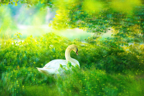 Lady of the Lake by Isa Vanbelli, 사진 for Sale on Singulart