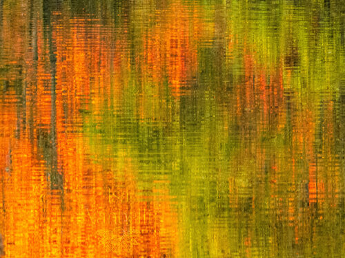 AUTUMNREFLECTION by Isa Vanbelli, 사진 for Sale on Singulart