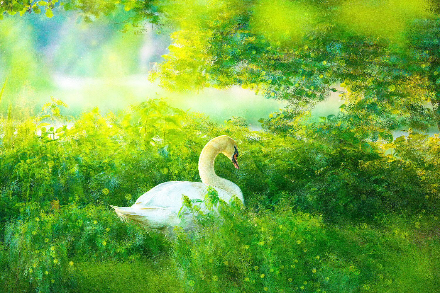 Lady of the Lake Isa Vanbelli Fotografie zu verkaufen