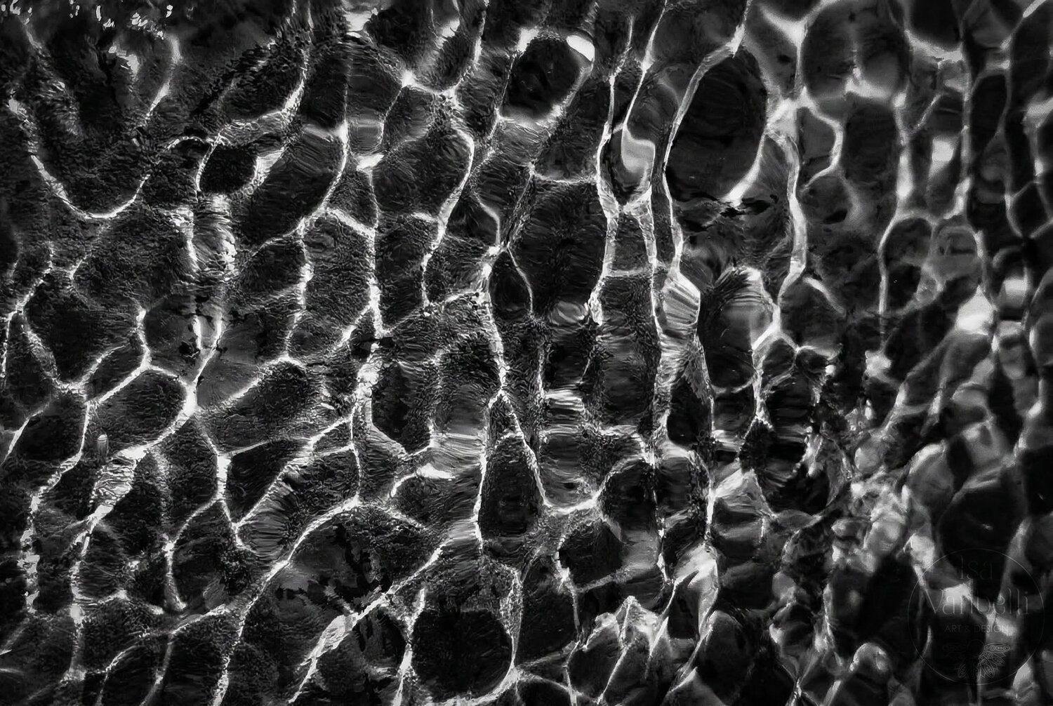 Monochrome Flow Isa Vanbelli