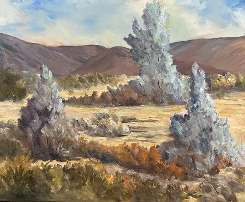 Desert Smoketrees van Marilyn Froggatt, Schilderij te koop op Singulart