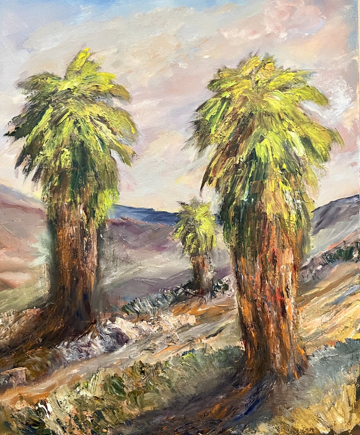 Indian Canyon 4124 Marilyn Froggatt