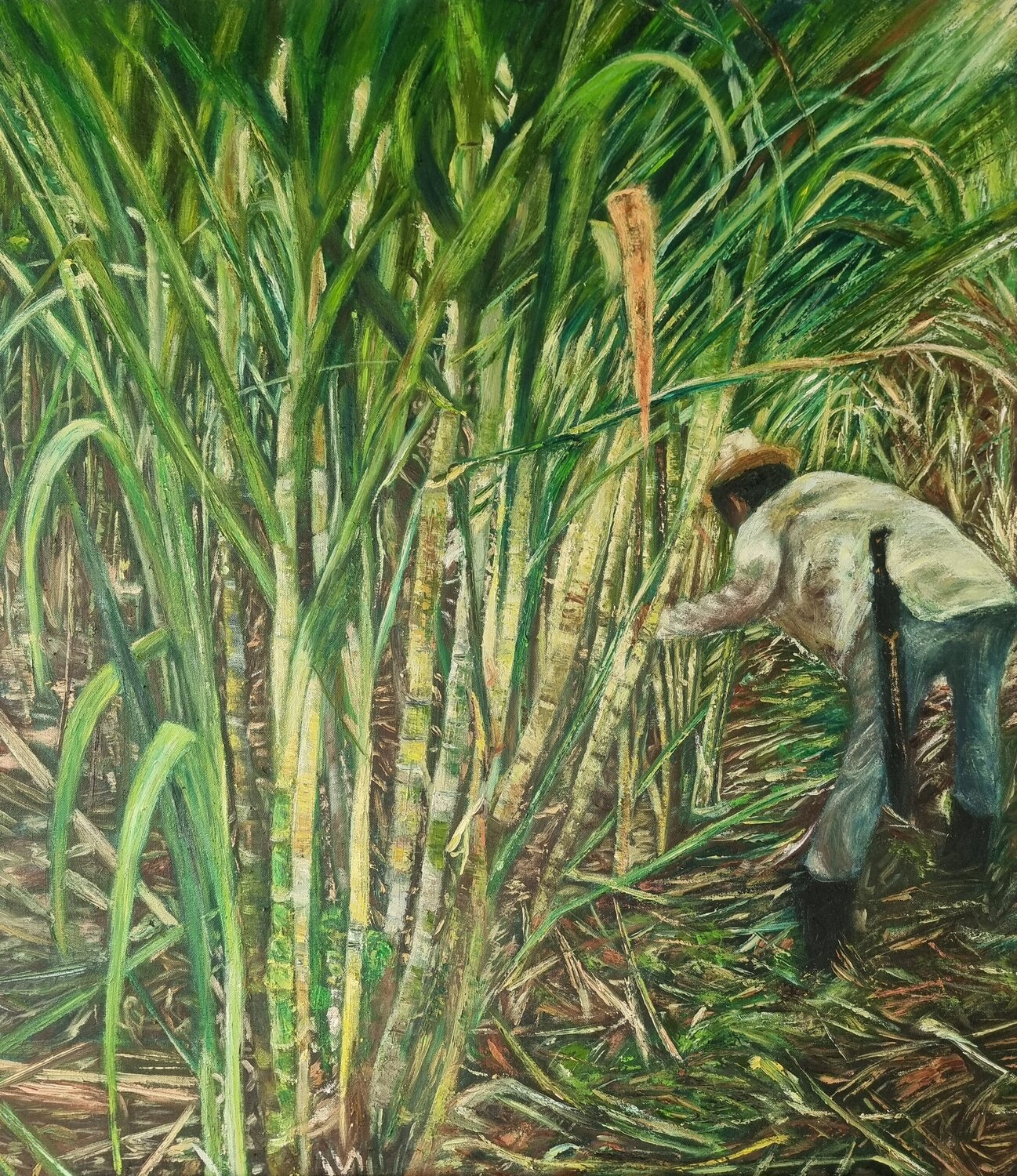 Recolector Javier Parra