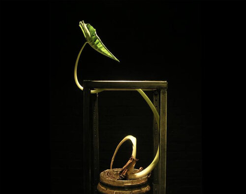 Taro Sculpture Detail - Alteration of Plants Series Sculpture Photograph di Aram Asarian, Fotografia in vendita su Singulart