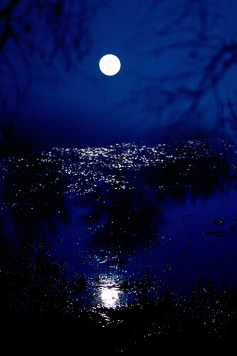 Blue Silence par Tanja Dörfler, Photographie en vente sur Singulart