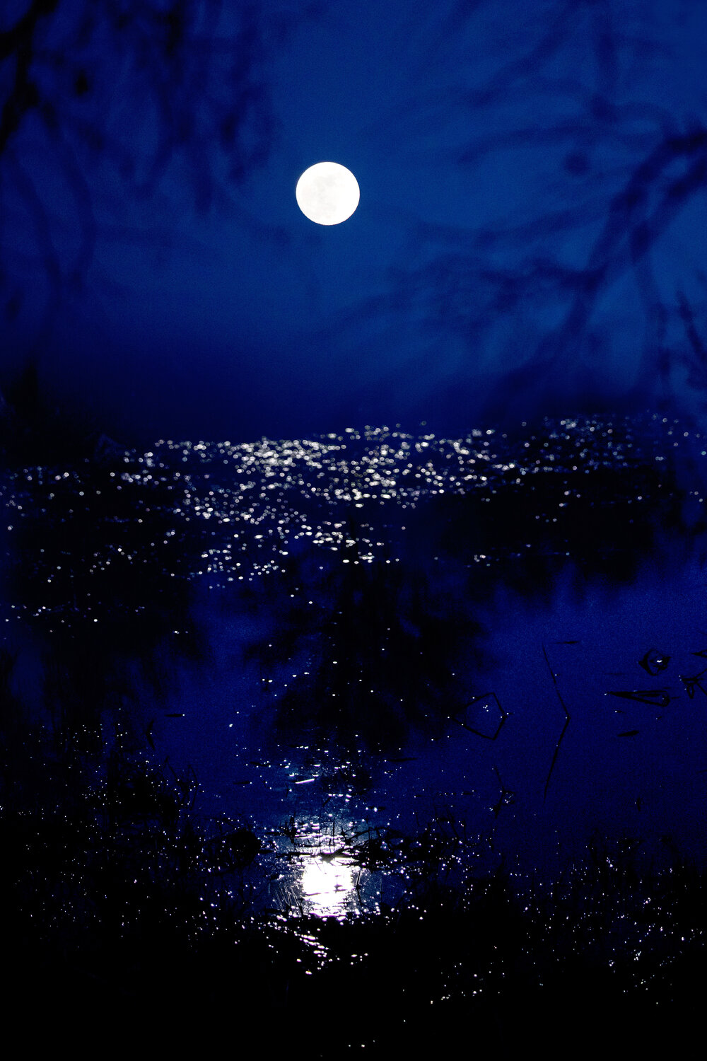 Blue Silence Tanja Dörfler