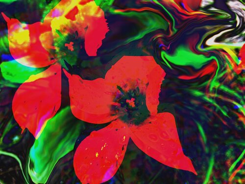 Abstrakt #6 von Ajdin Kajmovic, Digital kaufen auf Singulart