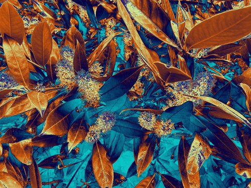 Abstrakt #8 di Ajdin Kajmovic, Digitale in vendita su Singulart