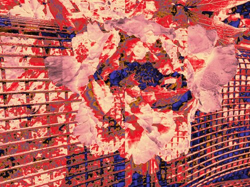 Abstrakt #14 van Ajdin Kajmovic, Digitaal te koop op Singulart