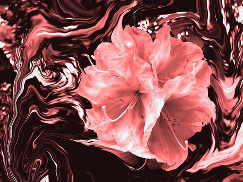 Abstrakt #17 by Ajdin Kajmovic, Digital for Sale on Singulart