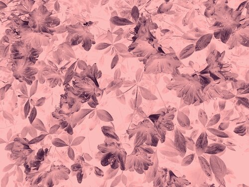 Abstrakt #20 by Ajdin Kajmovic, Digital for Sale on Singulart