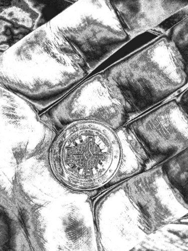 Euro by Ajdin Kajmovic, 写真 for Sale on Singulart