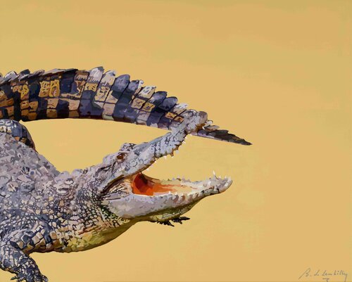 Éclat sauvage van baudouin de Lambilly, Schilderij te koop op Singulart