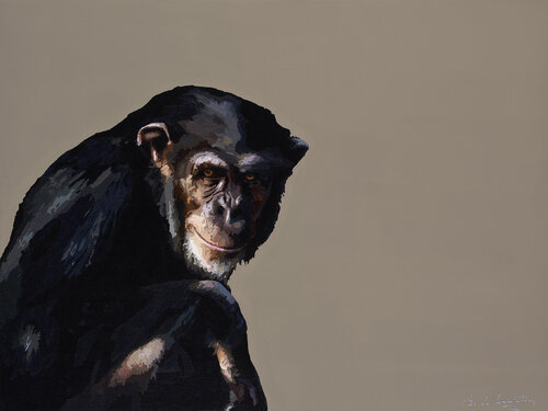 Contemplation Primate van baudouin de Lambilly, Schilderij te koop op Singulart
