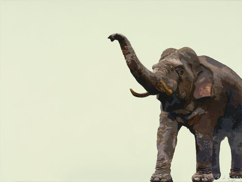 Elephas Maximus van baudouin de Lambilly, Schilderij te koop op Singulart